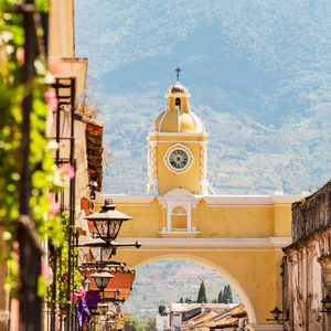
                  
                    Load image into Gallery viewer, Guatemala - Due Torri Coffee
                  
                